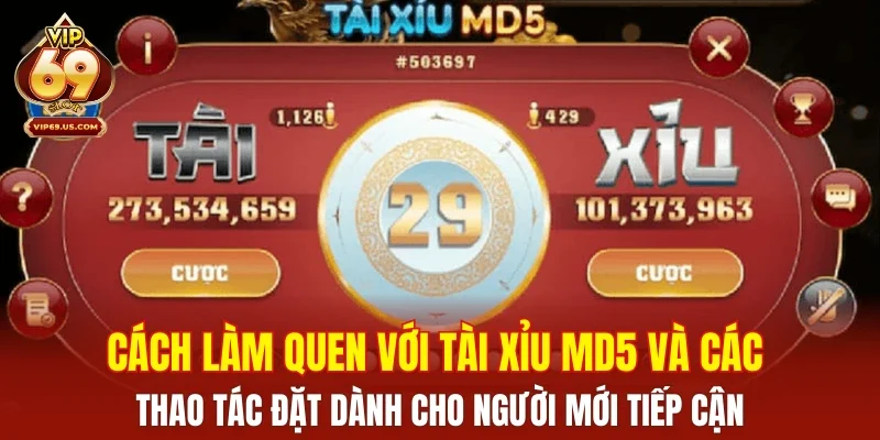 Cách làm quen với tài xỉu MD5 và các thao tác đặt dành cho người mới tiếp cận